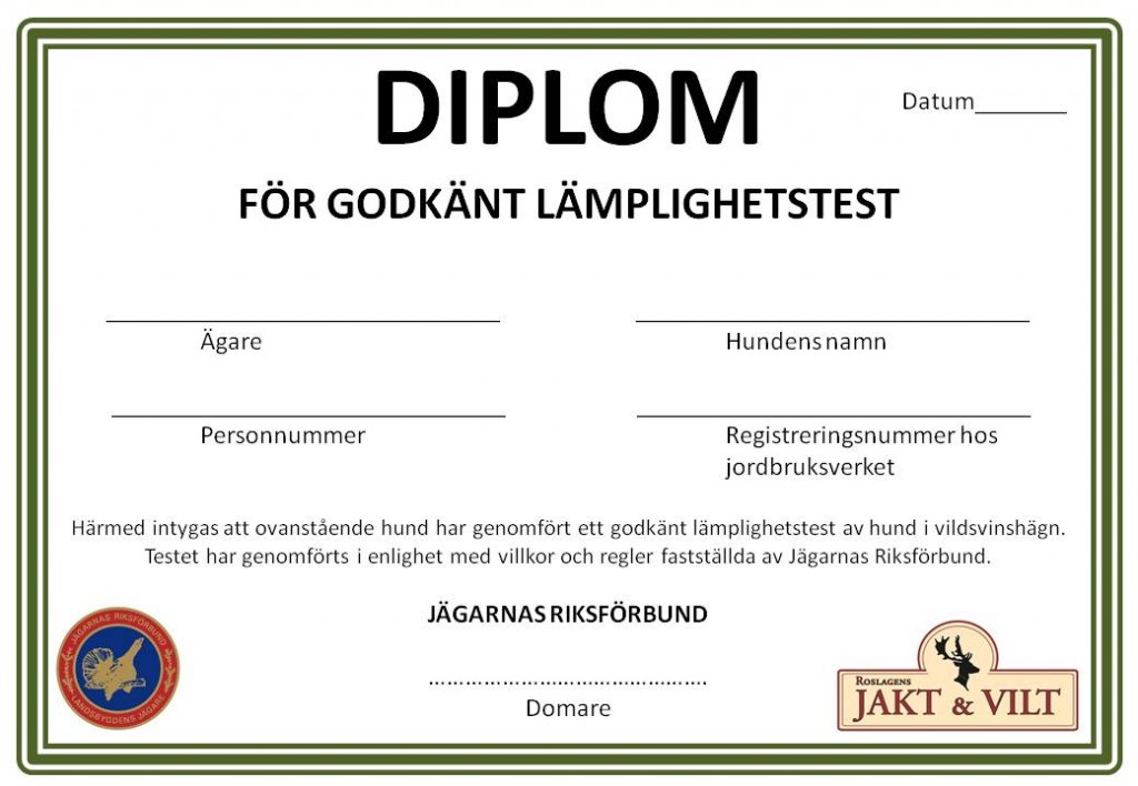 DIPLOM
