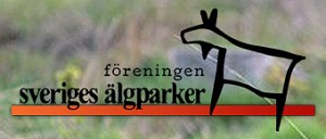 alglogga